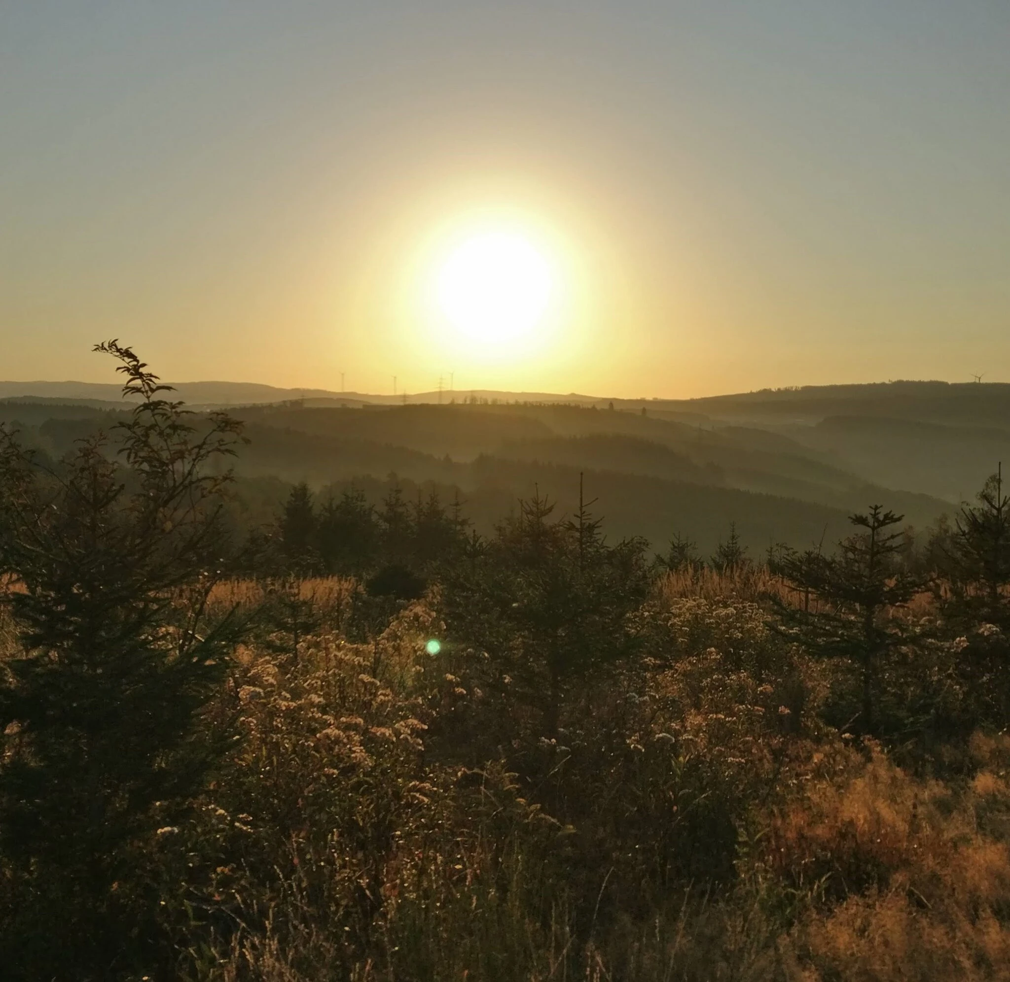 Sonnenuntergang über Hügeln